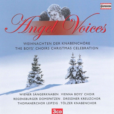 天使の声～少年合唱で聴くクリスマスの音楽集（3CD） | HMVu0026BOOKS online - C7069