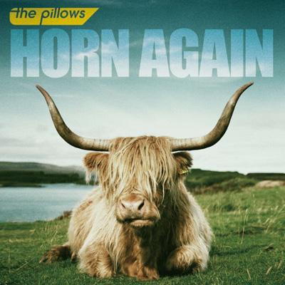 HORN AGAIN : the pillows | HMVu0026BOOKS online - AVCD-38201