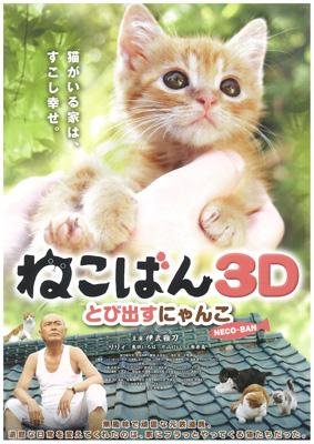 映画 ねこばん | HMV&BOOKS online - TSDS-75197