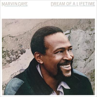 Dream Of A Lifetime: 永遠への旅立ち : Marvin Gaye | HMV&BOOKS