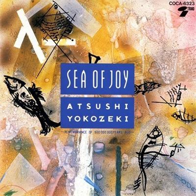 SEA OF JOY : 横関敦 | HMV&BOOKS online - BTH-39