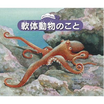 軟体動物