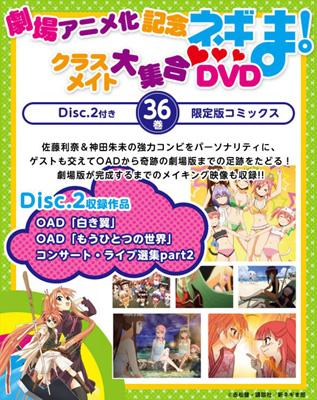 魔法先生ネギま! 36 DVD付き初回限定版 講談社キャラクターズA : 赤松