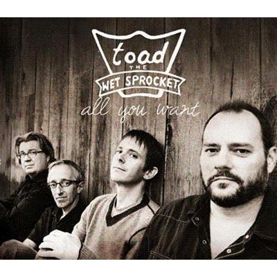 All You Want : Toad The Wet Sprocket | HMV&BOOKS online