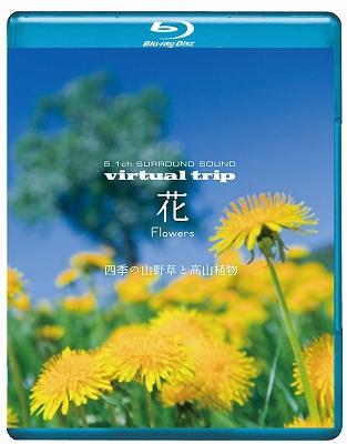 virtual trip 花 Flowers 四季の山野草と高山植物 | HMV&BOOKS online