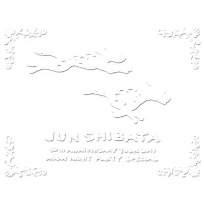 JUN SHIBATA 10th ANNIVERSARY TOUR 2011 月夜PARTY SPECIAL -10周年だ