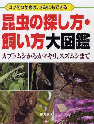 昆虫の探し方 飼い方大図鑑 カブトムシからカマキリ スズムシまで コツをつかめば きみにもできる 藤丸篤夫 Hmv Books Online 昆虫の探し方 飼い方大図鑑 カブトムシからカマキリ スズムシまで コツをつかめば きみにもできる 藤丸篤夫 Hmv Books Online