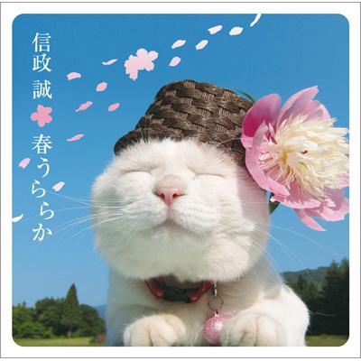 春うららか : 信政誠 | HMV&BOOKS online - TECI-262