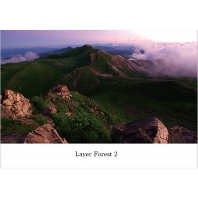 Layer Forest 2
