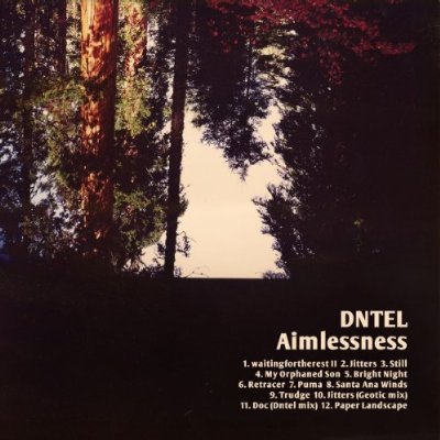 Aimlessness : Dntel | HMV&BOOKS online - OTLCD1785