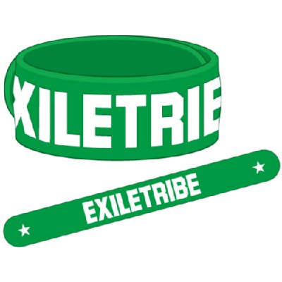 EXILE ゴムブレス