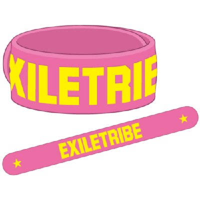 EXILE ツアーグッズ ゴムブレス（ピンク） : EXILE | HMV&BOOKS online 