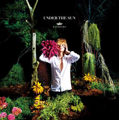 太陽の末裔 Love Under The Sun BOX1.2 太陽の末裔 Love Under The Sun BOX1、2セット