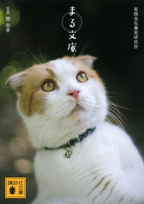 （激レア）どスコい座り猫、まる。～養老孟司先生と猫の営業部長 [DVD] DVD「どスコい座り猫、まる。～養老孟司先生と猫の営業部長