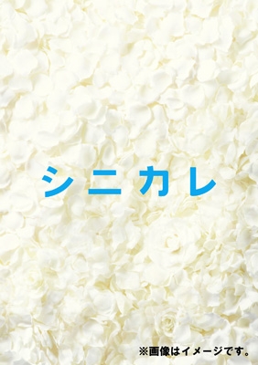 シニカレ完全版 ブルーレイBOX(仮) | HMV&BOOKS online - AVXF-62347/50