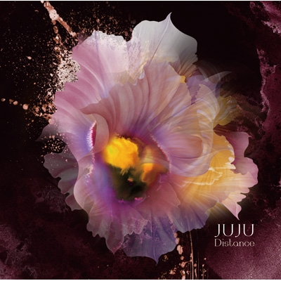 Distance : JUJU | HMV&BOOKS online - AICL-2579