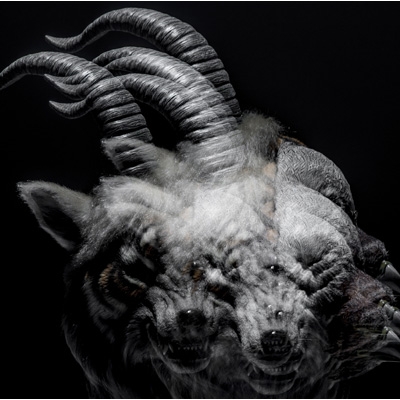 BEAUTIFUL DEFORMITY : the GazettE | HMV&BOOKS online - SRCL-8358