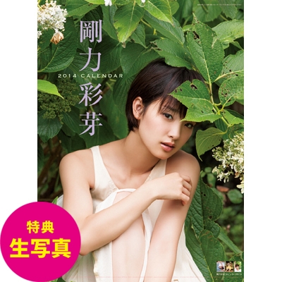 剛力彩芽 / 2014年カレンダー【特典付】 : 剛力彩芽 | HMV&BOOKS