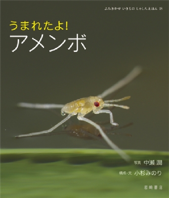 うまれたよ!アメンボ よみきかせいきものしゃしんえほん : 中瀬潤