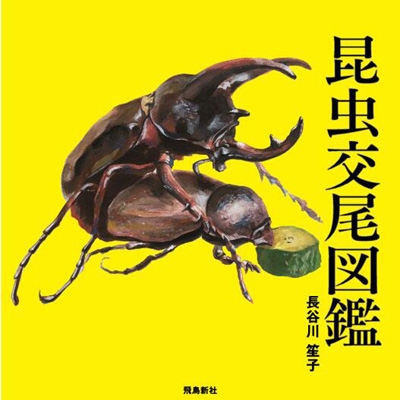 昆虫交尾図鑑 : 長谷川笙子 | HMV&BOOKS online - 9784864102957