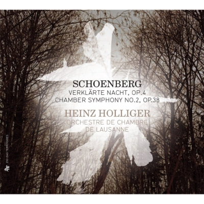 強い雪シェーンベルク：室内交響曲第２番op.38〜フィルハーモニア版 アート・デザイン・音楽
