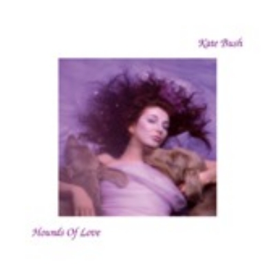 Hounds Of Love: 愛のかたち : Kate Bush | HMV&BOOKS online - WPCR-80051
