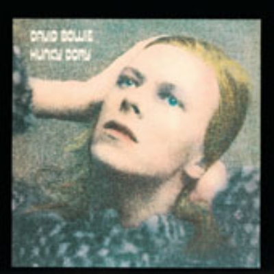 DAVID BOWIE / HUNKY DORY (ヨーロッパ盤)（LP】DAVID BOWIE