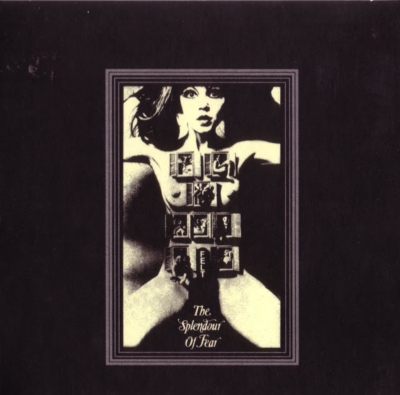 FELT「THE SPLENDOUR OF FEAR」レコード 中古 FELT「THE SPLENDOUR OF FEAR」レコード 中古 Amazon.co.jp: The