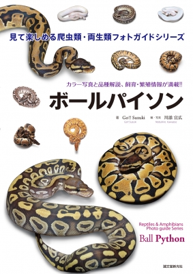 ボールパイソン カラー写真と品種解説 飼育 繁殖情報が満載 見て楽しめる爬虫類 両生類フォトガイドシリーズ Go Suzuki Hmv Books Online