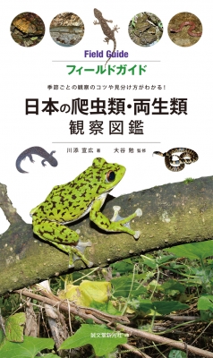 日本の爬虫類 両生類観察図鑑 季節ごとの観察のコツや見分け方がわかる フィールドガイド 川添宣広 Hmv Books Online