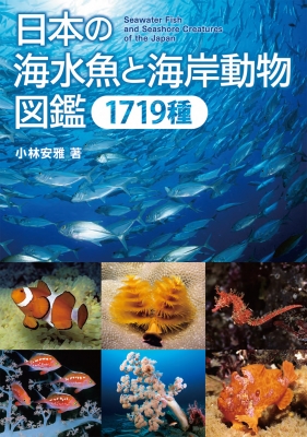 日本の海水魚と海岸動物図鑑1719種