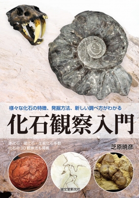 化石観察入門 様々な化石の特徴、発掘方法、新しい調べ方がわかる ...