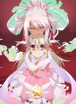 【PSA10】Fate/kaleid liner プリズマ☆イリヤ ツヴァイ 563.jpg