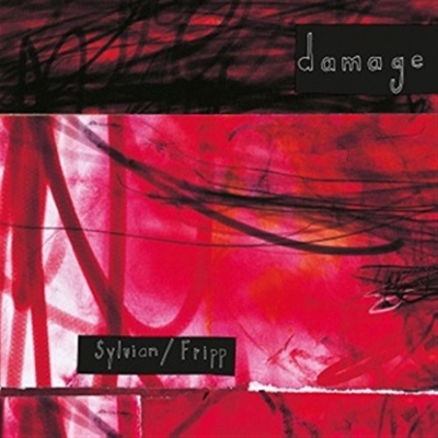 Damage : David Sylvian / Robert Fripp | HMV&BOOKS online - DGM0523