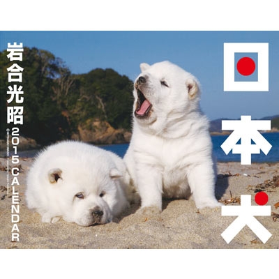 15カレンダー 日本犬 Mitsuaki Iwago Hmv Books Online Online Shopping Information Site English Site