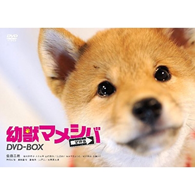 Amazon.co.jp: 映画版「 幼獣マメシバ 望郷篇 」 [DVD] : 佐藤二