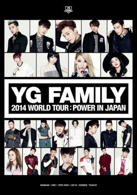 YG FAMILY 2014 WORLD TOUR:POWER IN JAPAN