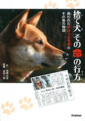 捨て犬その命の行方 救われたがけっぷち犬のその後の物語 動物感動ノンフィクション 今西乃子 Hmv Books Online