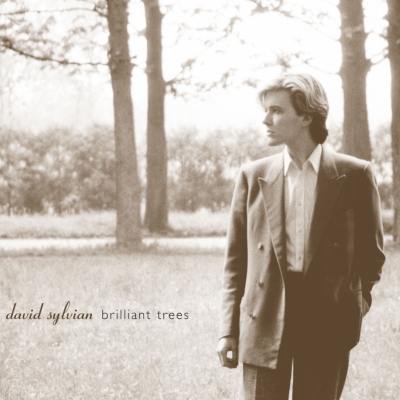 Brilliant Trees : David Sylvian | HMVu0026BOOKS online - UICY-25456