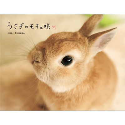 その他 うさぎ様