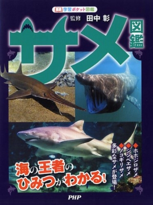 サメ図鑑 海の王者のひみつがわかる! 学習ポケット図鑑 : 田中彰