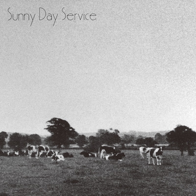 Sunny Day Service / サニーデイ・サービス サニーデイ サービス : Sunny Day Survice | HMV&BOOKS online