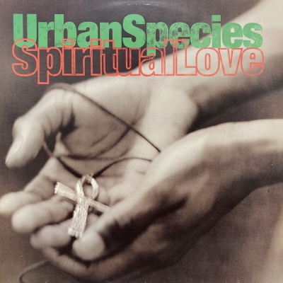 Spiritual Love : Urban Species | HMV&BOOKS online - TLKX45
