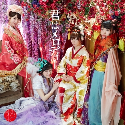 君はメロディー (+DVD)【Type D 通常盤】 : AKB48 | HMV&BOOKS online