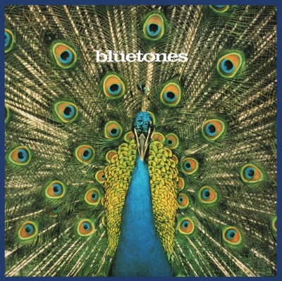 Expecting To Fly (20th Anniversary) : Bluetones | HMV&BOOKS online