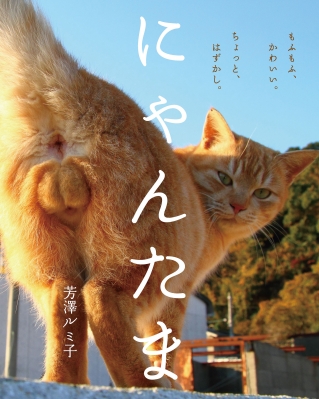 にゃんたま様 にゃんたま : 芳澤ルミ子 | HMV&BOOKS online - 9784426120993