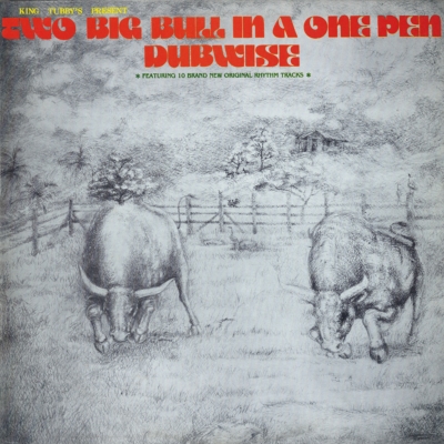 Two Big Bull In A One Pen Dubwise | HMV&BOOKS online - DSR