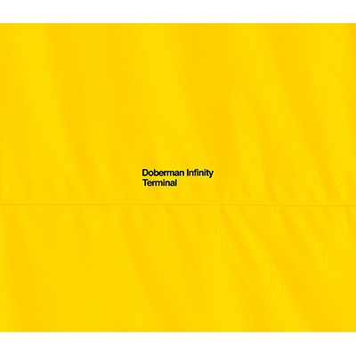 Terminal 初回限定盤 Cd 2dvd Doberman Infinity Hmv Books Online Tfcc