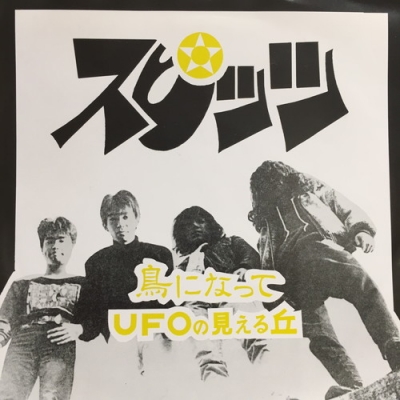 鳥になって : スピッツ | HMV&BOOKS online - FEI88036