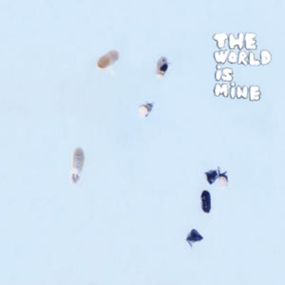 The World Is Mine : くるり | HMV&BOOKS online - HRLP055